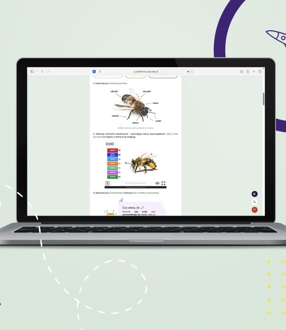 Internetowa Platforma Edukacyjna - przykładowa lekcja z zadaniem interaktywnym z edukacji wczesnoszkolnej, dla klasy 2 szkoły podstawowej.
